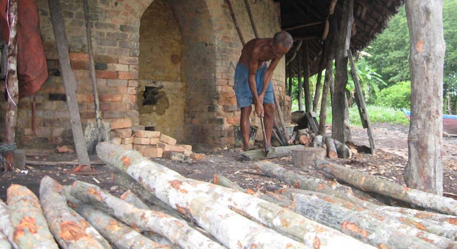 Manfaatkan Pohon Mangrove oleh Suku Akit di Provinsi Riau