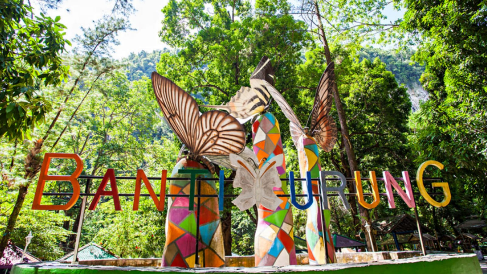 Yuk, Kenalan dengan Flora dan Fauna Endemik Pulau Sulawesi di Taman Naional