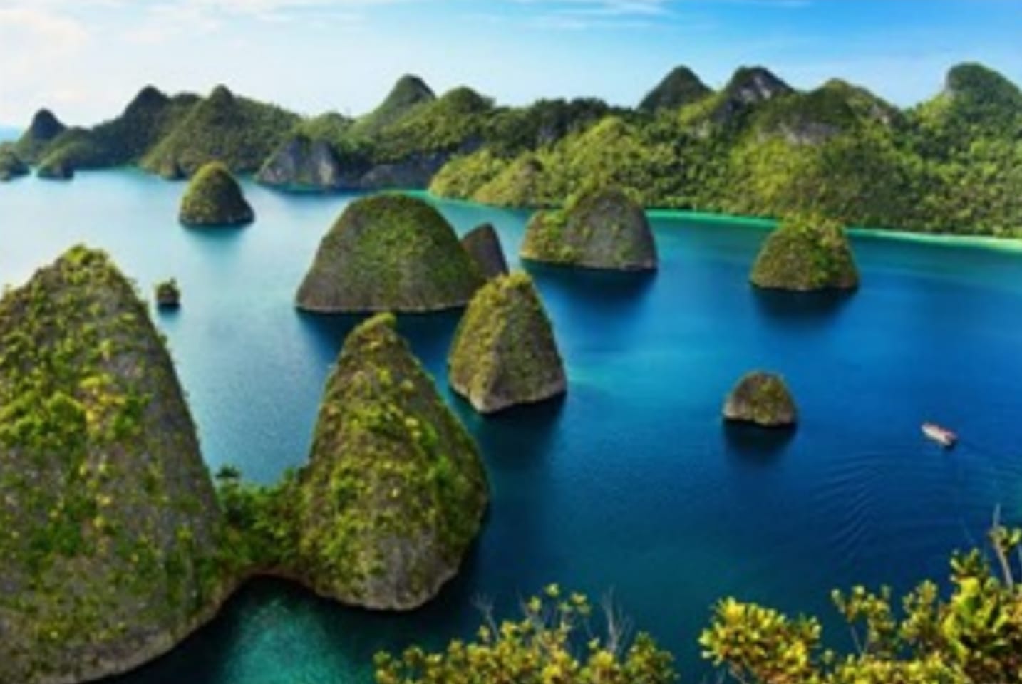 Ingin Melihat Flora dan Fauna Endemik Pulau Papua? Yuk Kunjungi 3 Tempat Wisata Ini!