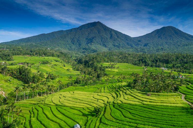 5 Destinasi Wisata Populer dan Unik di Bali