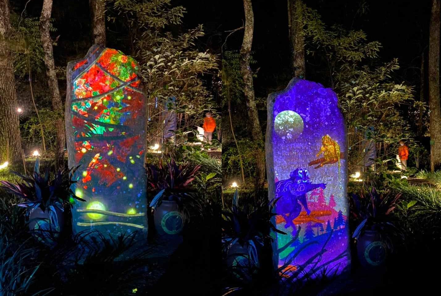Rekomendasi Wisata Malam yang Sedang Hits: Ada Hutan Menyala