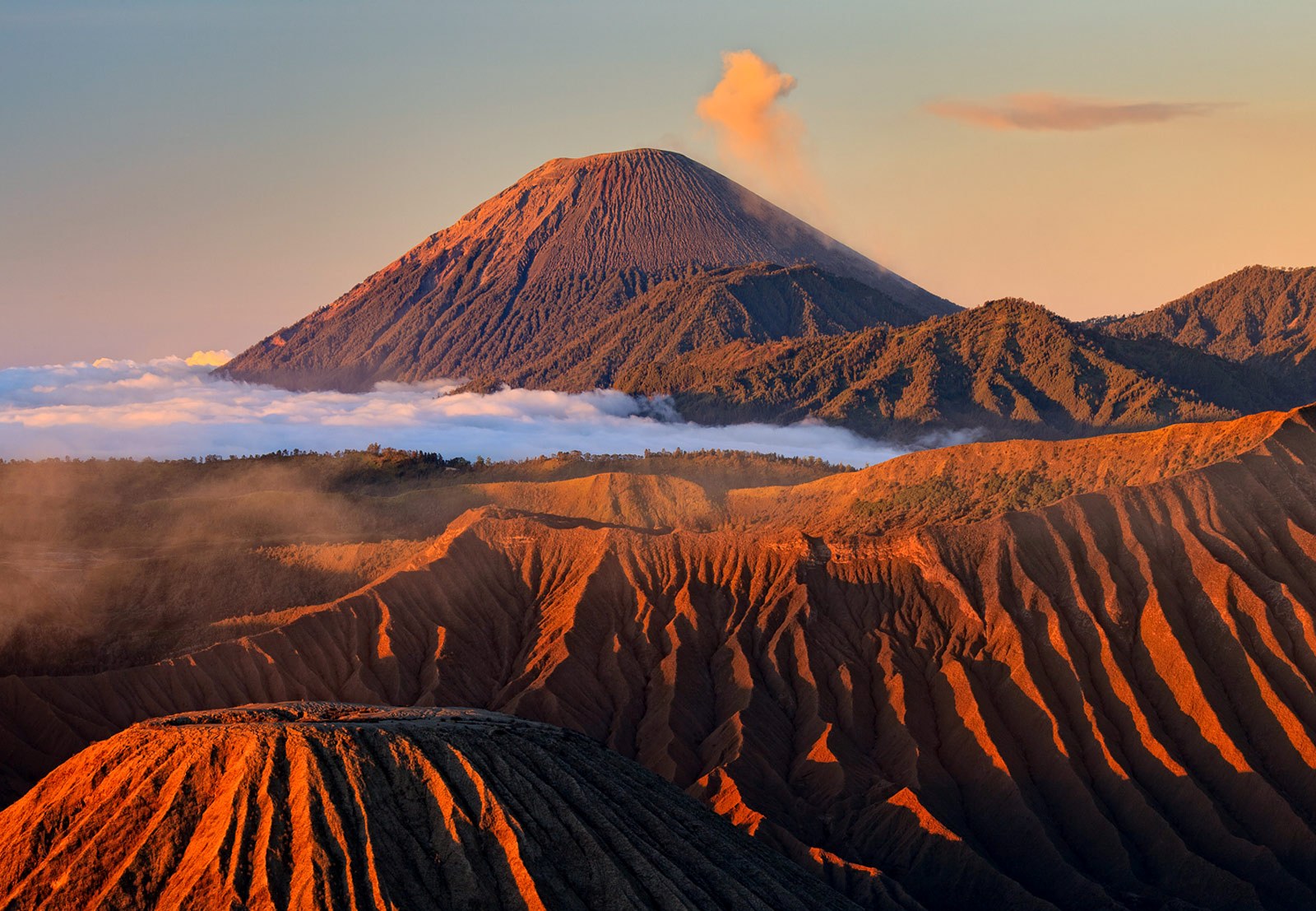 5 Fakta Menarik Tentang Bromo, Pesona Alam Paling Memikat di Jawa Timur