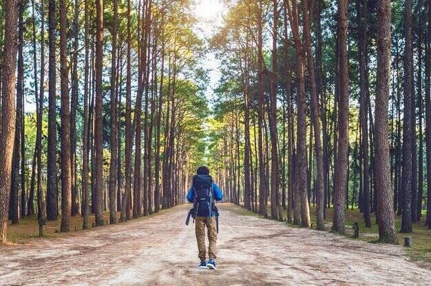 Wisata Ramah Lingkungan dan Berkelanjutan, Cocok untuk Edukasi dan Rekreasi