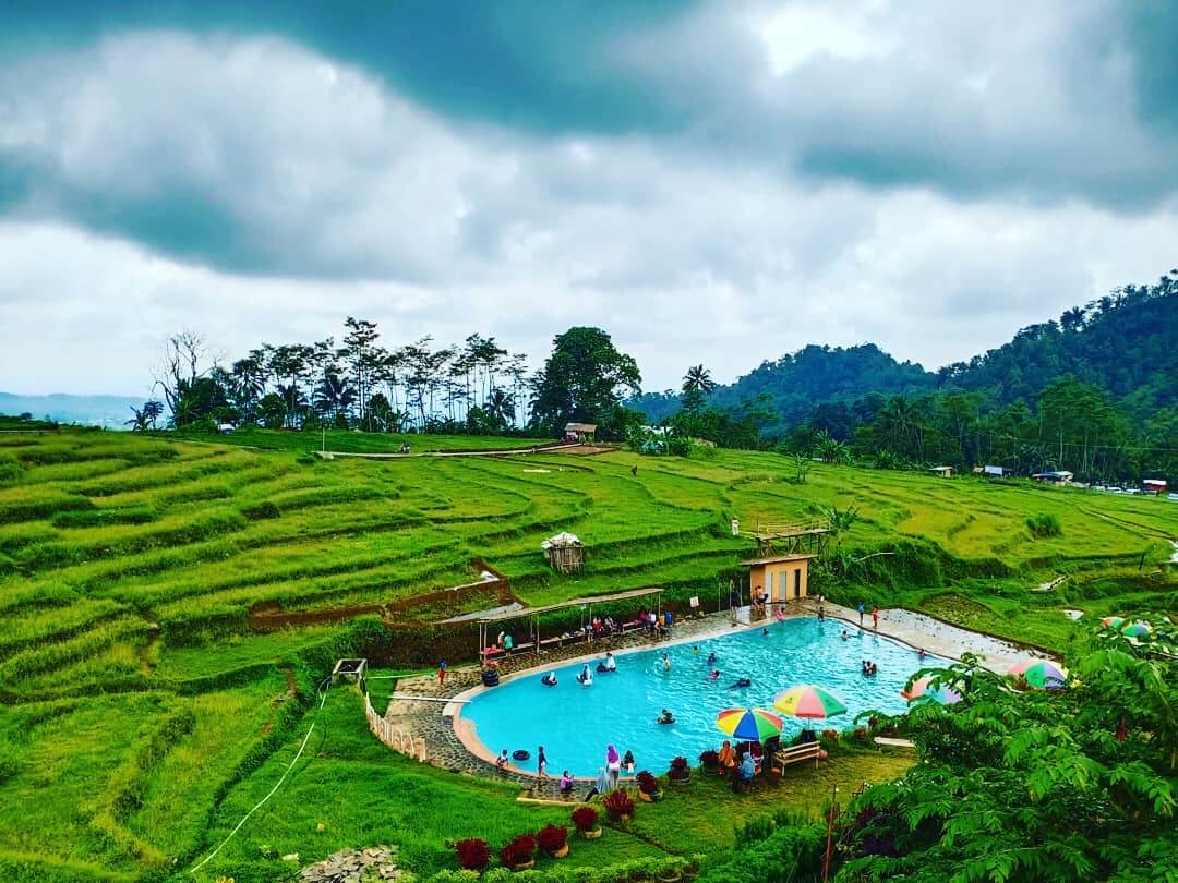 Wisata Pagubugan Melung, Uniknya View Kolam Renang di Tengah Sawah Desa Banyumas