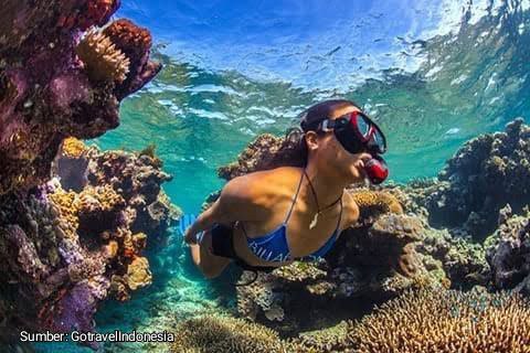 Kepulauan Wakatobi Tempat Tinggal Suku Bajo yang Menjadi Inspirasi Film Avatar