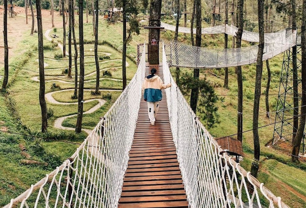 Orchid Forest Cikole, Ada 20.000 Lebih Tanaman Anggrek