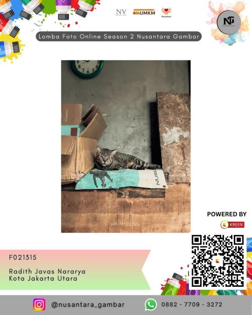 Radith Javas Nararya Raih Juara Favorit, Bronze Stage Lomba Foto Nusantara Gambar 2026: Kreen Indonesia Kawal Digital Voting