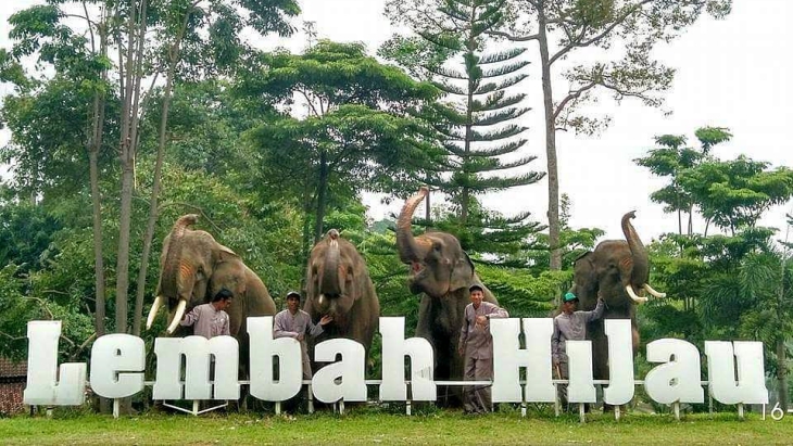 4 Tempat Wisata Alam dan Konservasi Satwa Liar di Lampung
