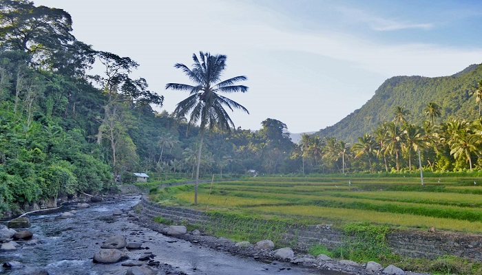 3 Desa Wisata di Buleleng Ini Unik untuk Ditelusuri!