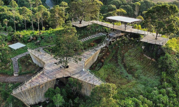 Daya Tarik Wisata Hutan Ciwidey, Pemikat Hati Wisatawan