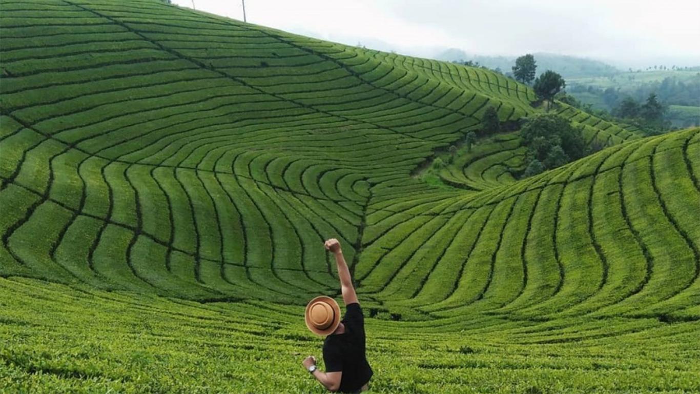 Nikmati Wisata Berbasis Ecotourism di Ciwidey: Staycation Hingga Camping